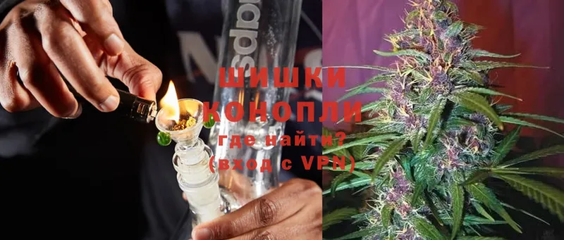 Каннабис OG Kush  Покачи 